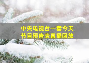 中央电视台一套今天节目预告表直播回放