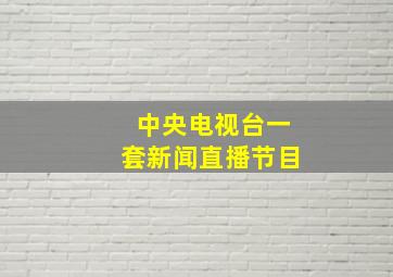 中央电视台一套新闻直播节目