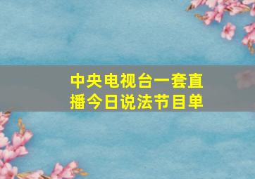 中央电视台一套直播今日说法节目单