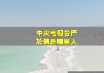 中央电视台严於信是哪里人