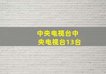 中央电视台中央电视台13台