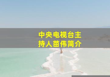 中央电视台主持人苗伟简介