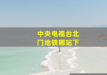 中央电视台北门地铁哪站下