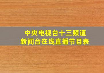 中央电视台十三频道新闻台在线直播节目表