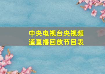 中央电视台央视频道直播回放节目表