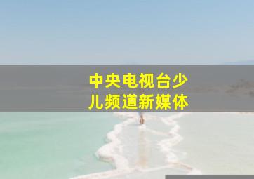 中央电视台少儿频道新媒体