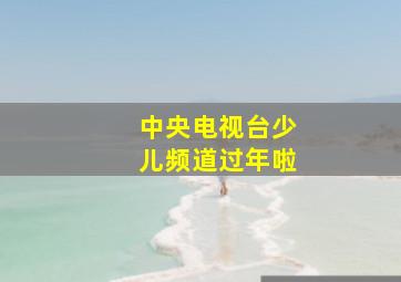 中央电视台少儿频道过年啦