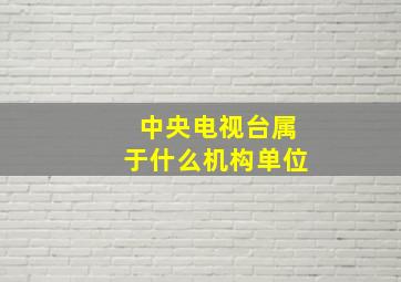 中央电视台属于什么机构单位