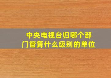 中央电视台归哪个部门管算什么级别的单位