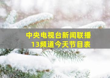 中央电视台新闻联播13频道今天节目表