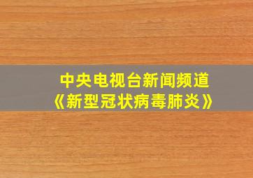 中央电视台新闻频道《新型冠状病毒肺炎》