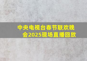 中央电视台春节联欢晚会2025现场直播回放