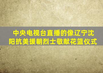 中央电视台直播的像辽宁沈阳抗美援朝烈士敬献花篮仪式