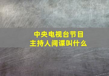 中央电视台节目主持人间谍叫什么