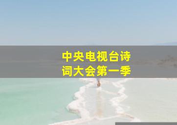 中央电视台诗词大会第一季