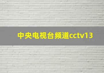 中央电视台频道cctv13