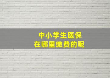 中小学生医保在哪里缴费的呢