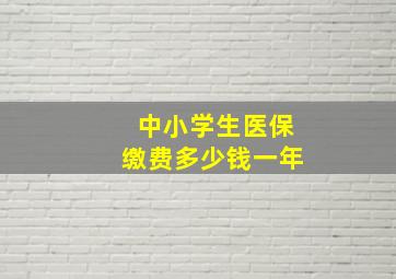 中小学生医保缴费多少钱一年