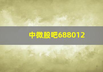 中微股吧688012