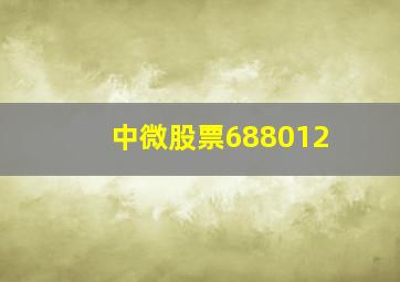 中微股票688012