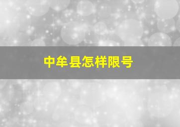 中牟县怎样限号