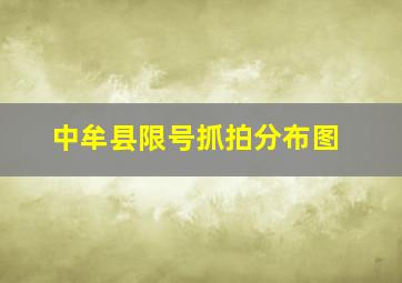 中牟县限号抓拍分布图