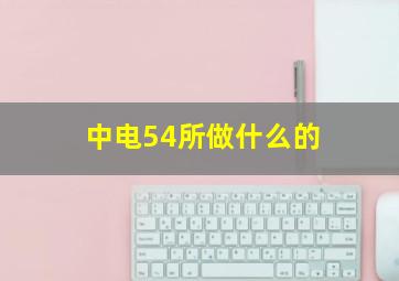 中电54所做什么的