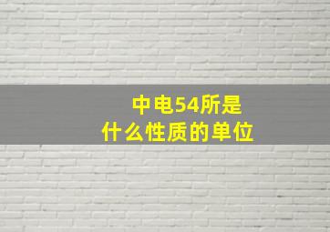 中电54所是什么性质的单位