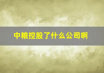 中粮控股了什么公司啊