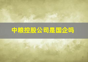 中粮控股公司是国企吗