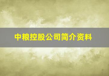 中粮控股公司简介资料