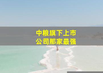 中粮旗下上市公司那家最强