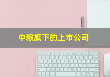 中粮旗下的上市公司