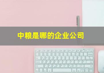 中粮是哪的企业公司