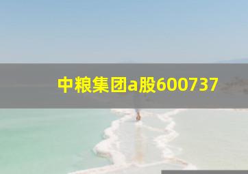 中粮集团a股600737