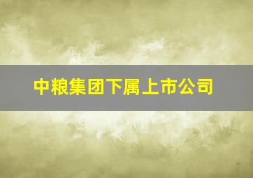 中粮集团下属上市公司