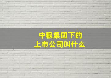 中粮集团下的上市公司叫什么