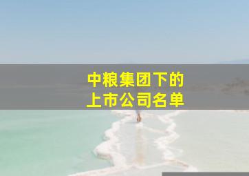 中粮集团下的上市公司名单