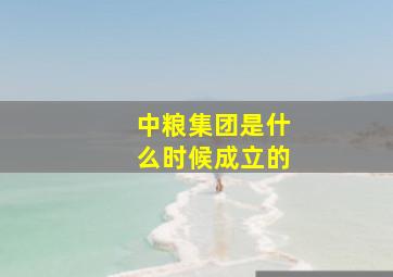 中粮集团是什么时候成立的