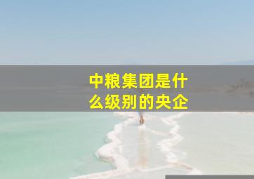 中粮集团是什么级别的央企