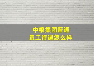 中粮集团普通员工待遇怎么样