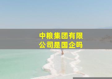 中粮集团有限公司是国企吗