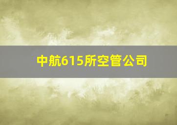 中航615所空管公司