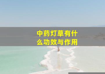 中药灯草有什么功效与作用