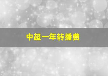 中超一年转播费