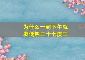 为什么一到下午就发低烧三十七度三