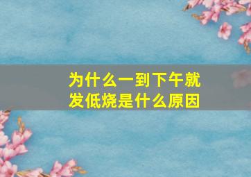 为什么一到下午就发低烧是什么原因