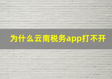 为什么云南税务app打不开