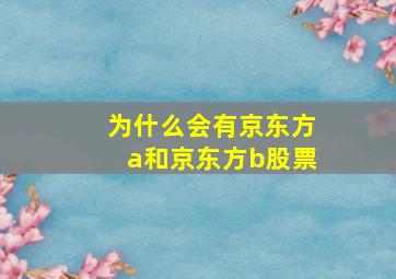 为什么会有京东方a和京东方b股票