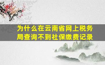 为什么在云南省网上税务局查询不到社保缴费记录